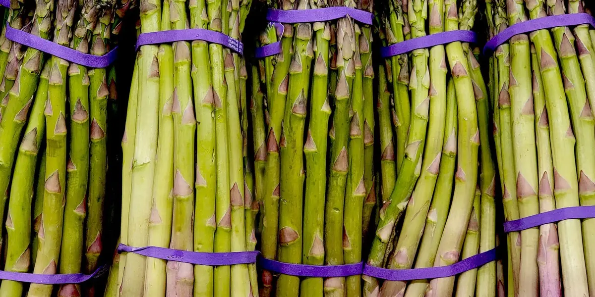 Cuisson asperges blanches : temps et méthode pas à pas